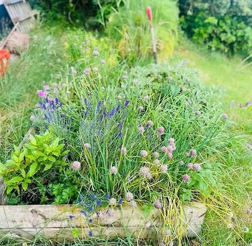 The Lough View Annex Hébergement de vacances